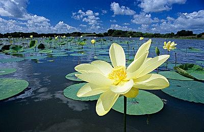 卡牌游戏《Deathless. Tales of Old Rus》Steam页面上线 年内发售